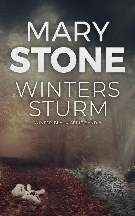 Winters Sturm
