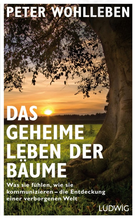 Das geheime Leben der Bäume: Der Weltbesteller jetzt als Graphic Novel