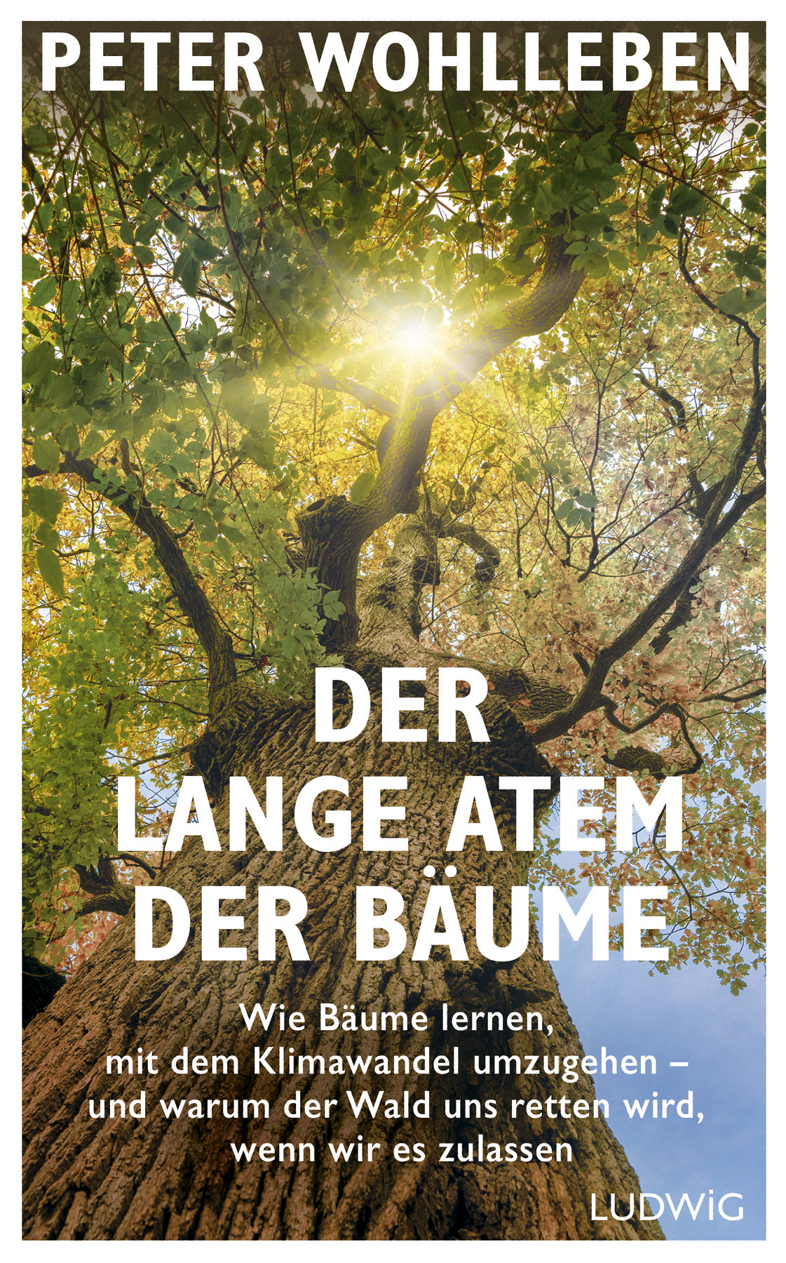 Der lange Atem der Bäume: Wie Bäume lernen, mit dem Klimawandel umzugehen – und warum der Wald uns retten wird, wenn wir es zulassen