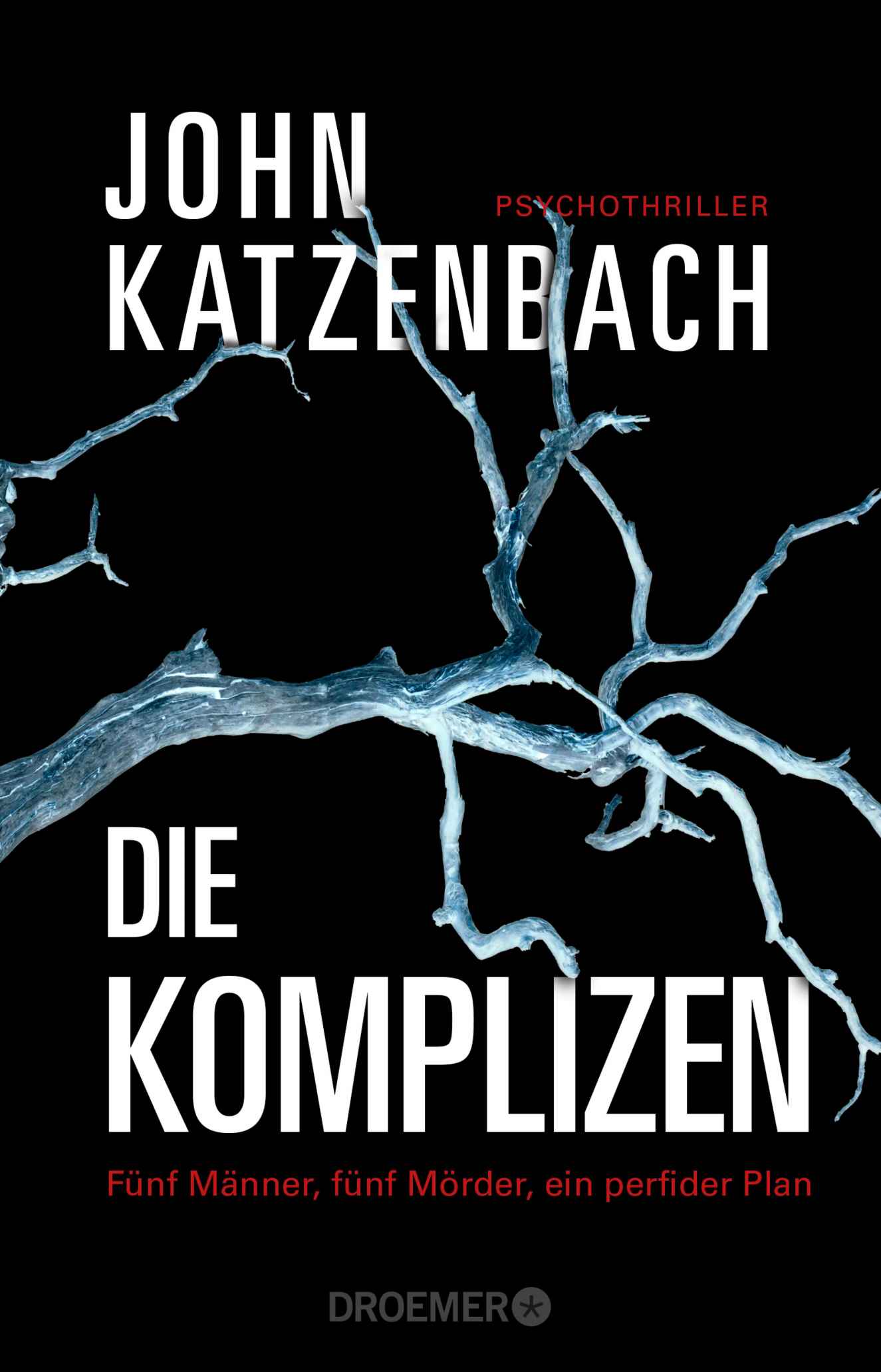 Die Komplizen. Fünf Männer, fünf Mörder, ein perfider Plan