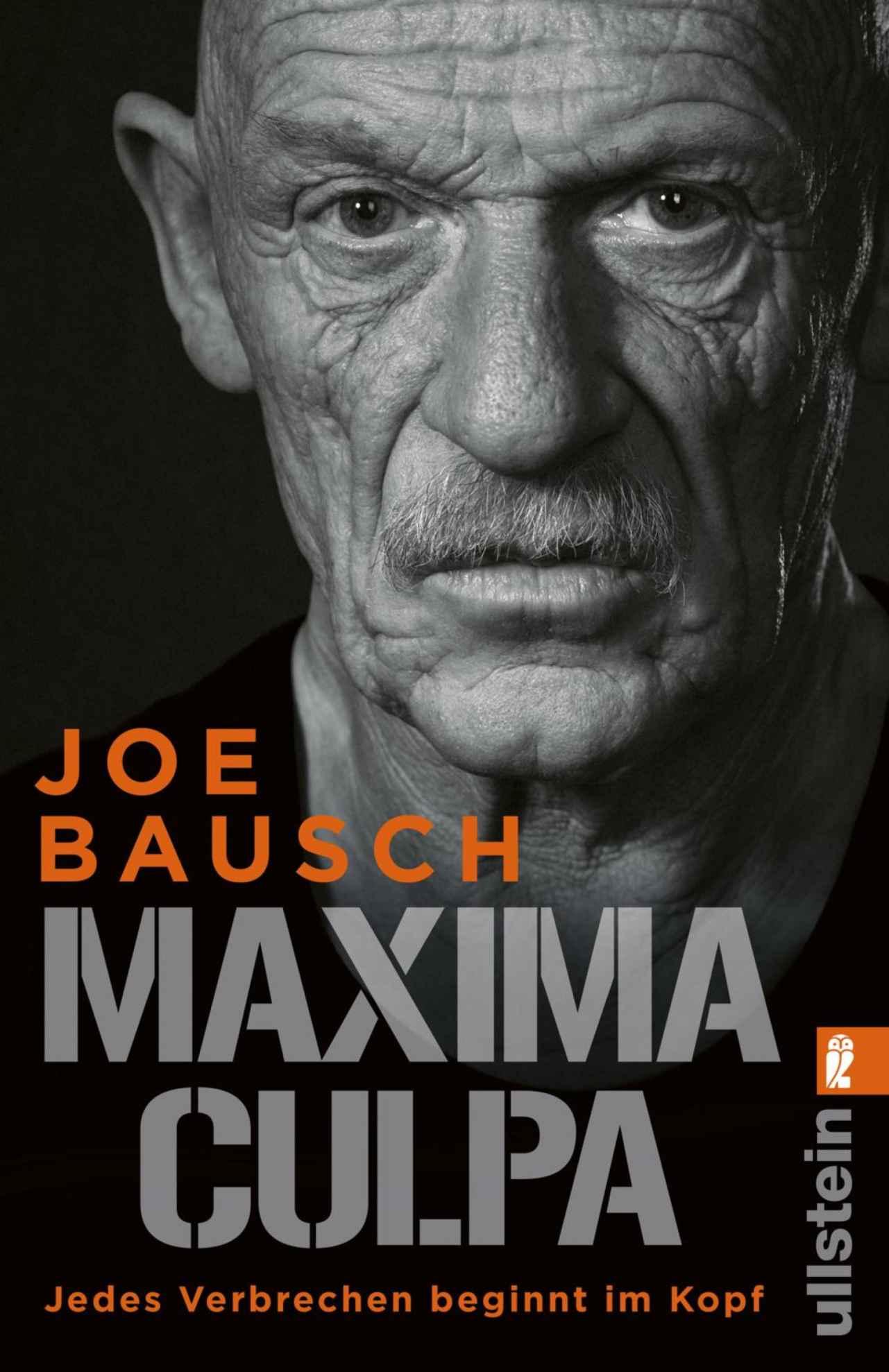 Maxima Culpa: Jedes Verbrechen beginnt im Kopf
