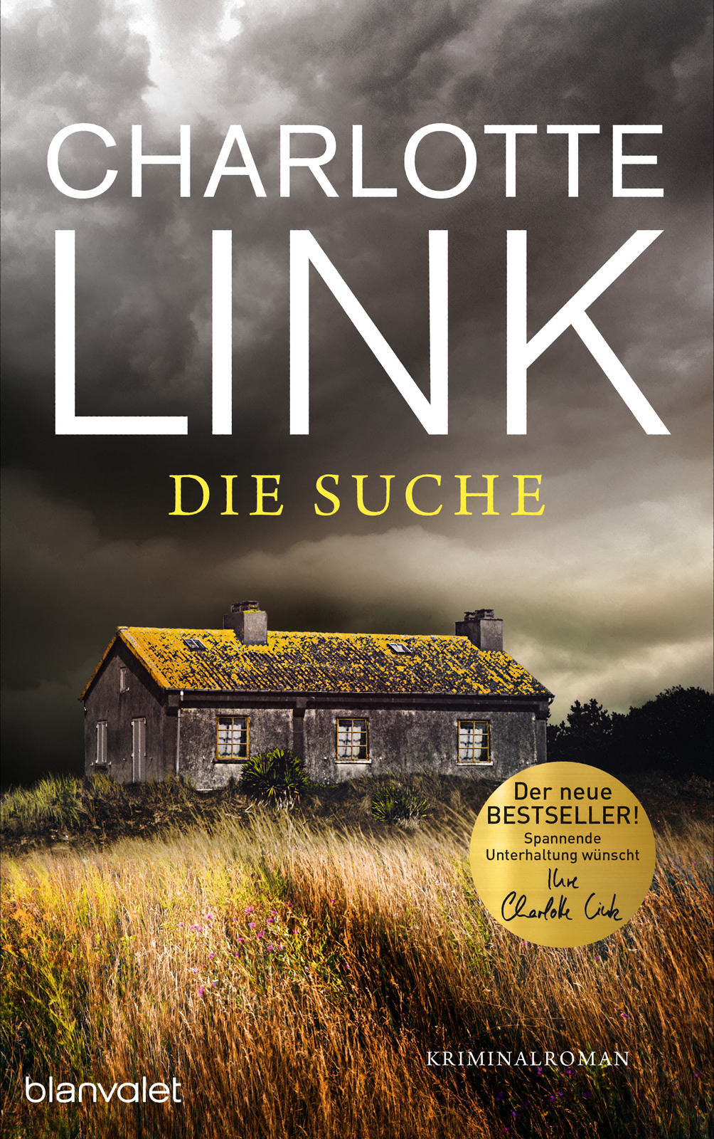 Die Suche: Kriminalroman