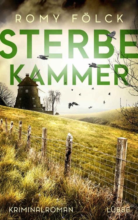 Sterbekammer - Kriminalroman