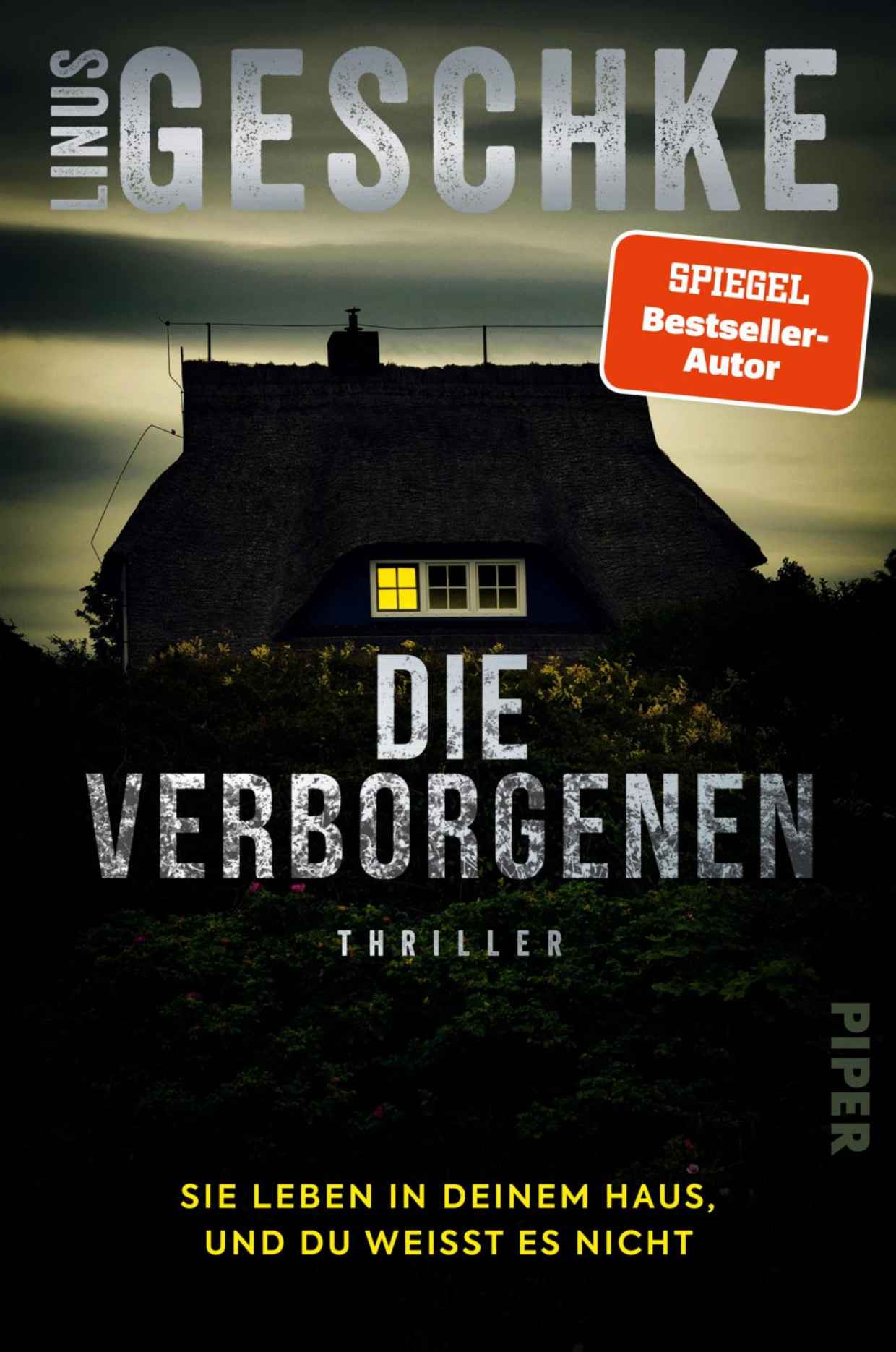 Die Verborgenen: Sie leben in deinem Haus, und du weißt es nicht.