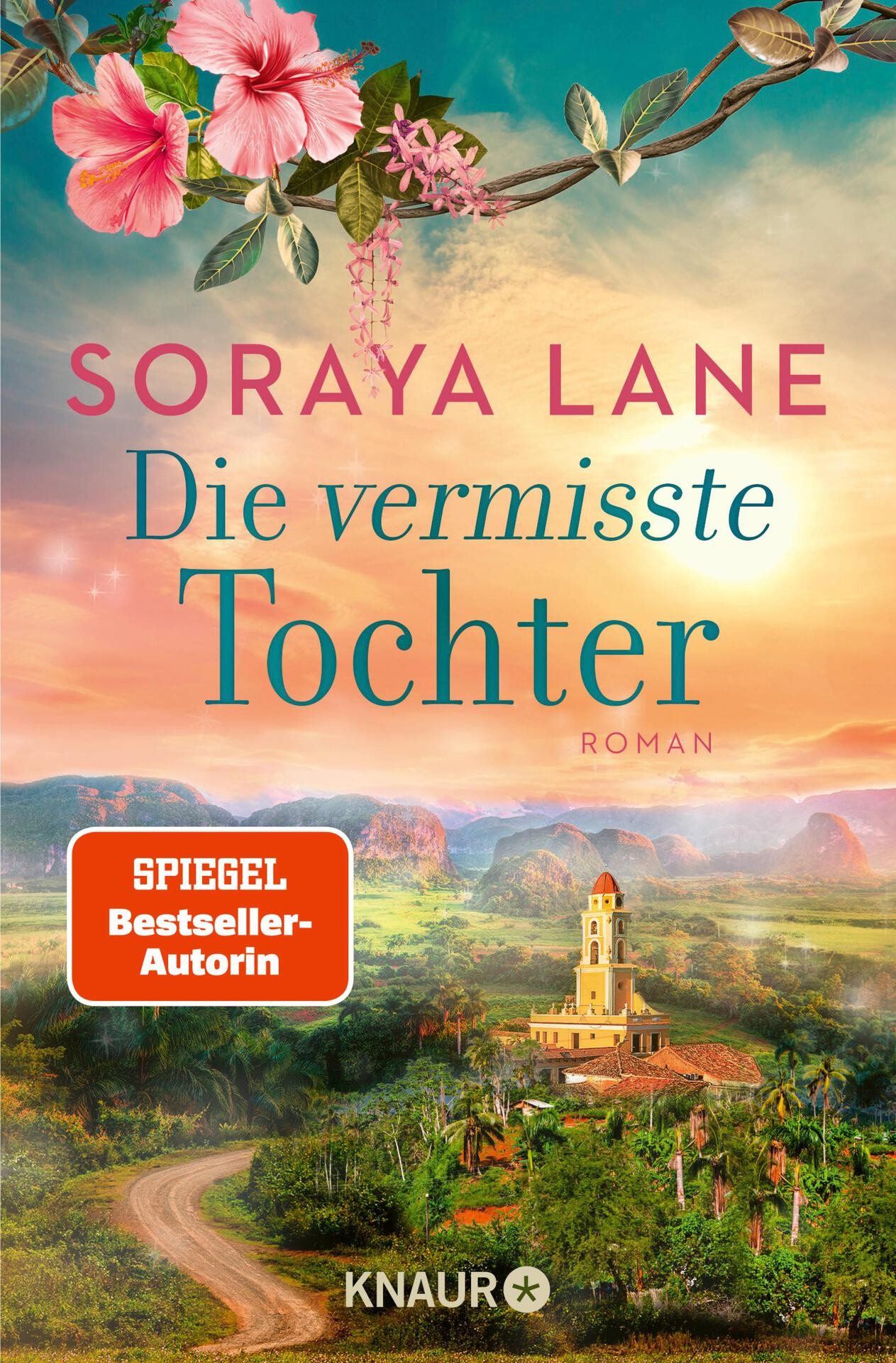 Die vermisste Tochter: Roman