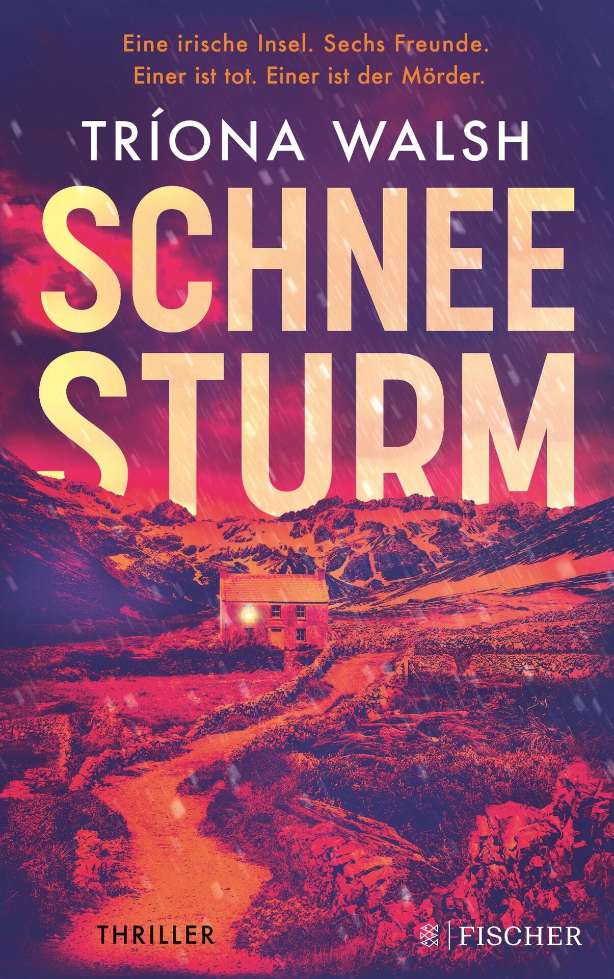 Schneesturm: Thriller