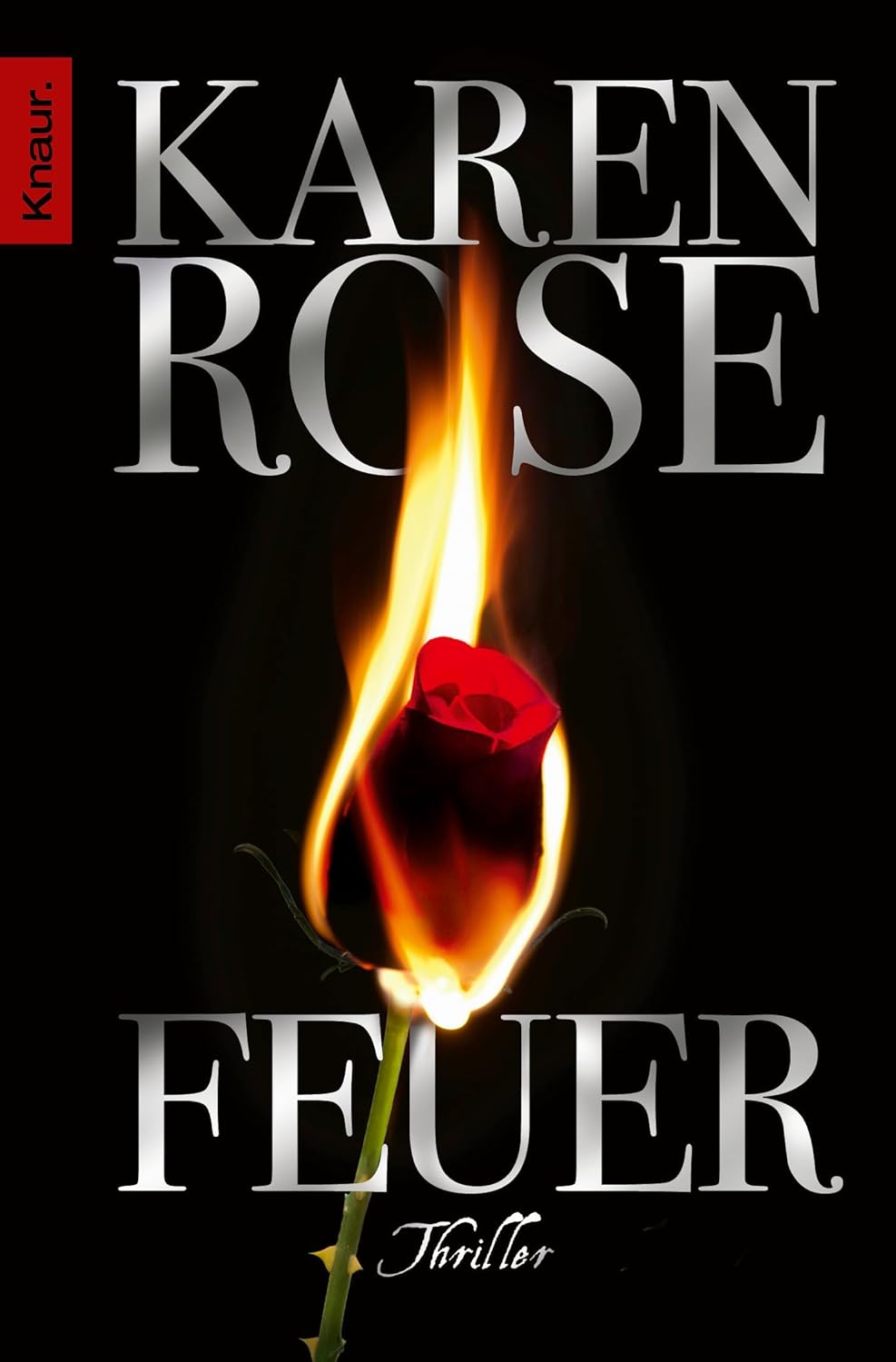 Feuer: Thriller