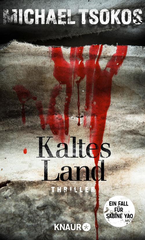 Kaltes Land: Ein Fall für Sabine Yao