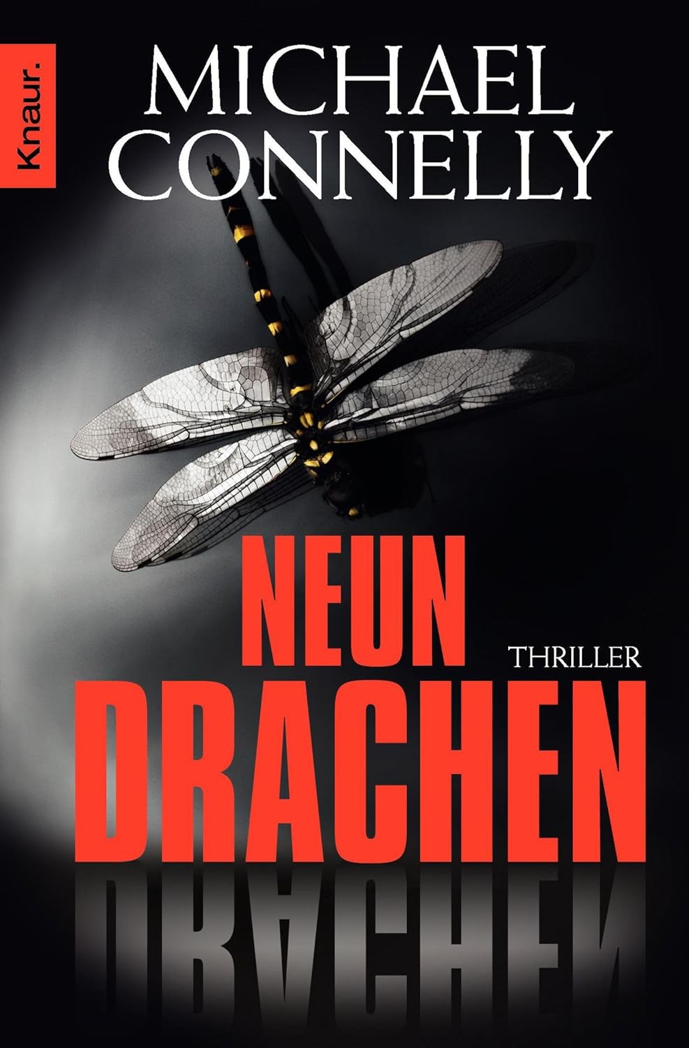Neun Drachen: Thriller