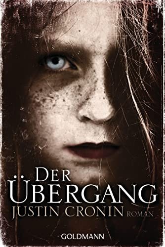Der Übergang : Roman