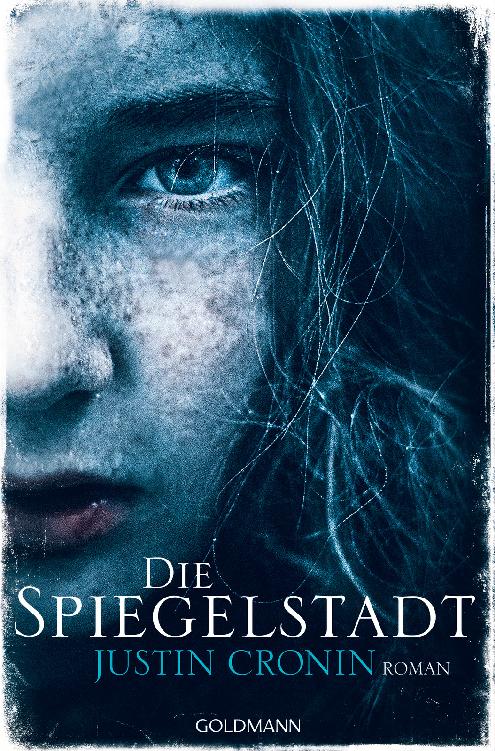 Die Spiegelstadt: Roman